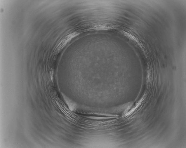 X0000059041161200510171841