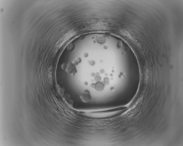 X0000059041162200510171841