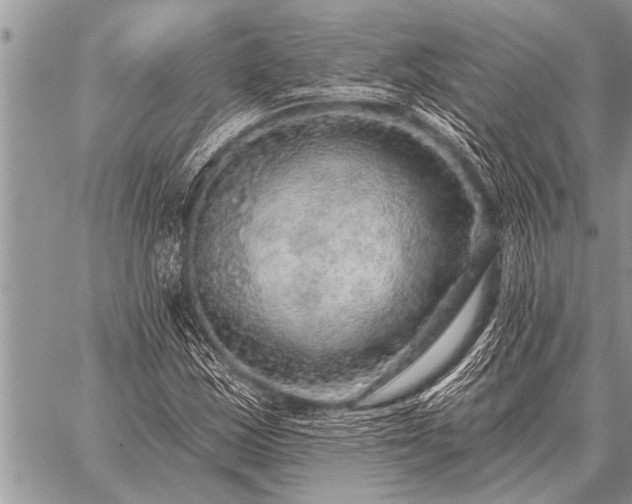 X0000059041163200510171841