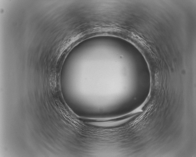 X0000059041165200510171841