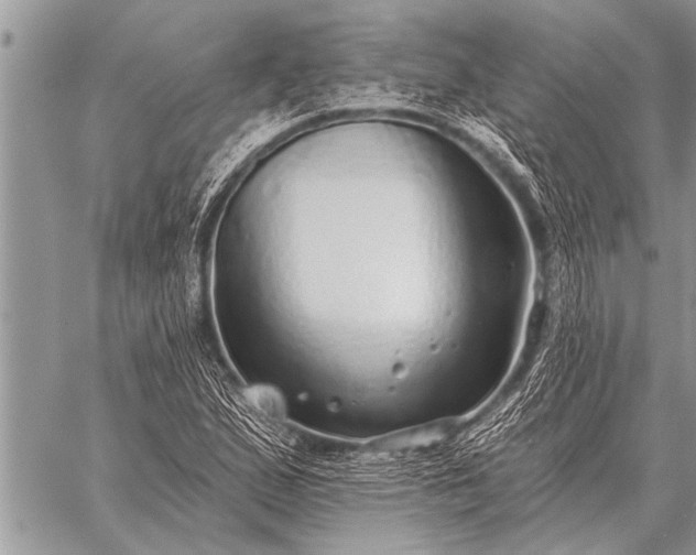 X0000059041167200510171841