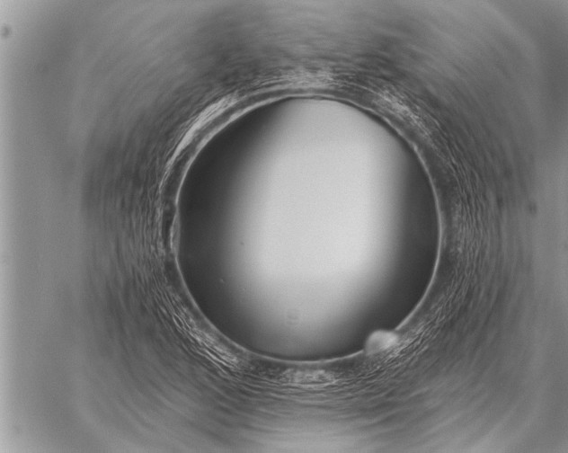 X0000059041168200510171841