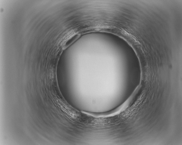 X0000059041169200510171841