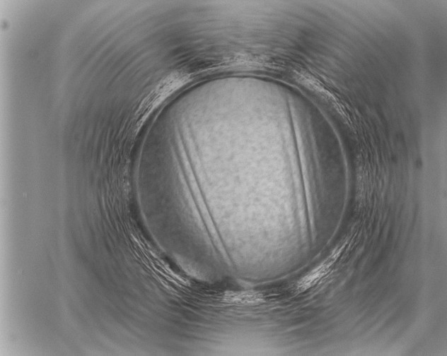 X0000059041170200510171841