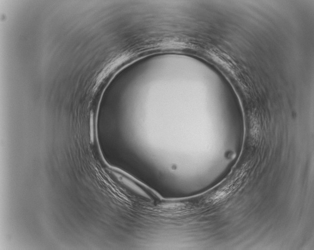 X0000059041171200510171841