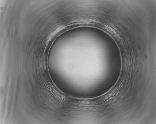 X0000059041172200510171841