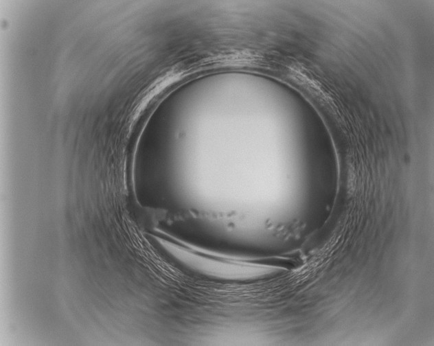 X0000059041174200510171841