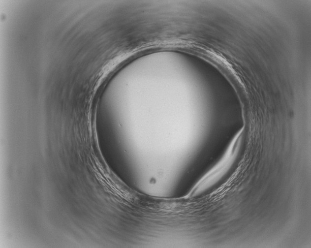 X0000059041176200510171841