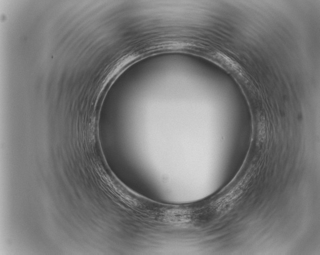 X0000059041178200510171841