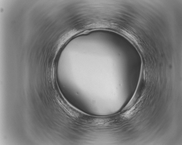 X0000059041179200510171841