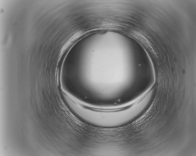 X0000059041180200510171841