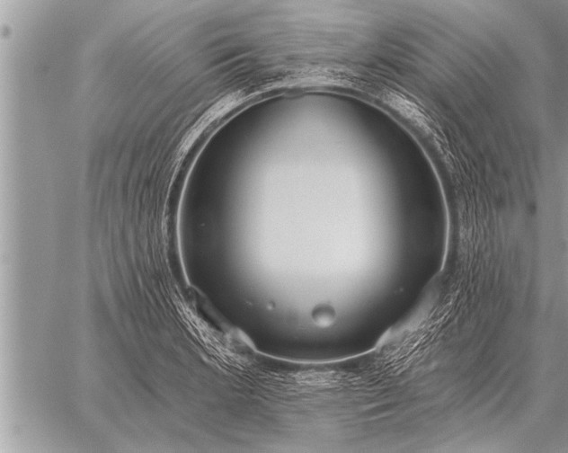 X0000059041181200510171841