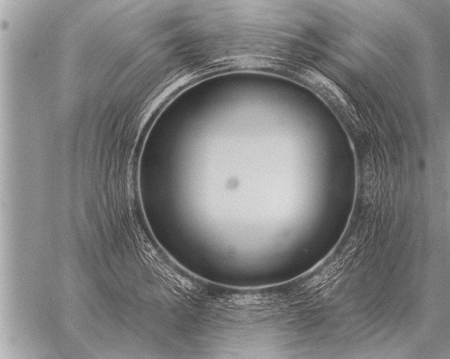 X0000059041182200510171841