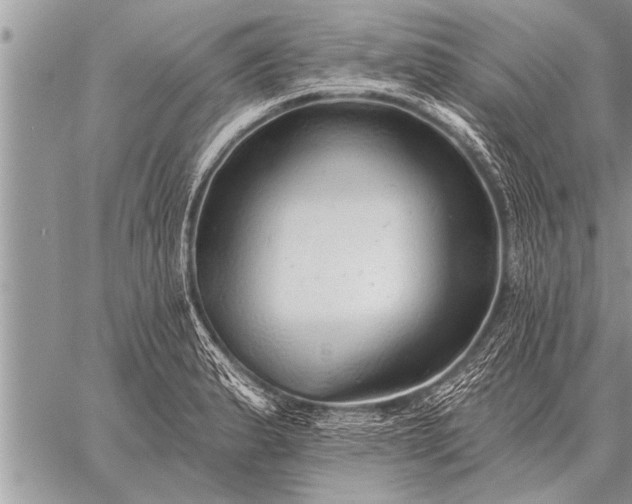 X0000059041183200510171841