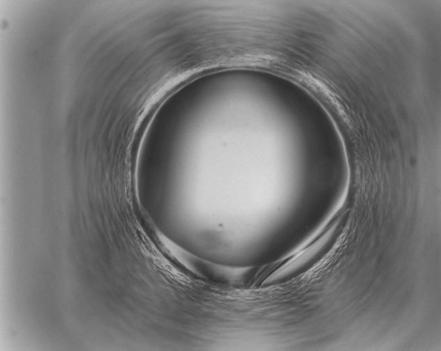 X0000059041184200510171841