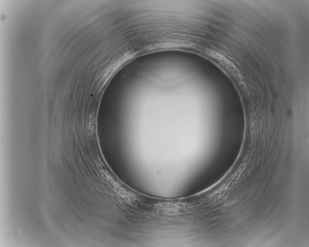 X0000059041185200510171841