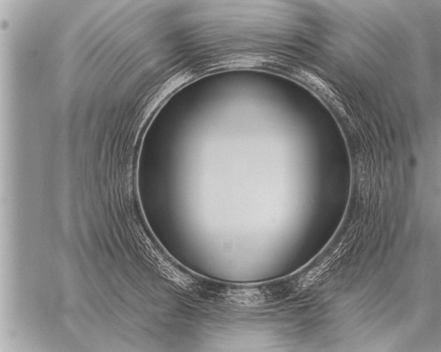 X0000059041186200510171841