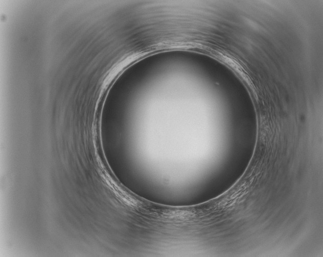 X0000059041187200510171841