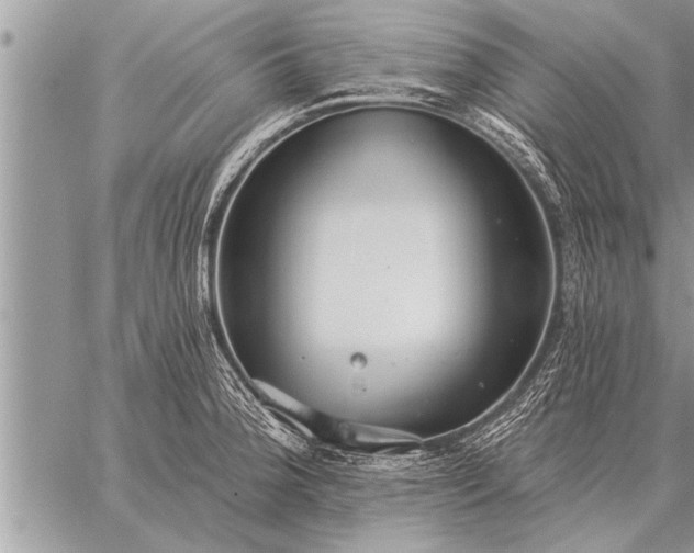 X0000059041188200510171841