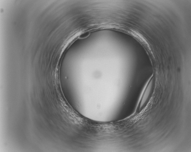 X0000059041190200510171841