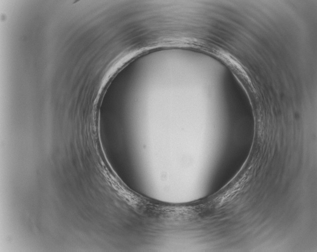 X0000059041192200510171841