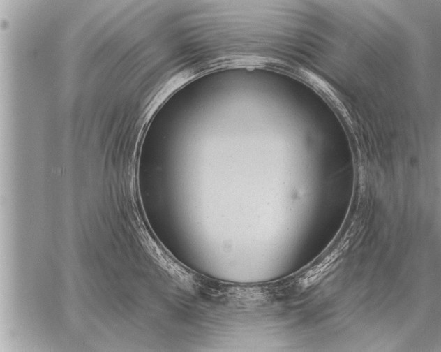 X0000059041194200510171841