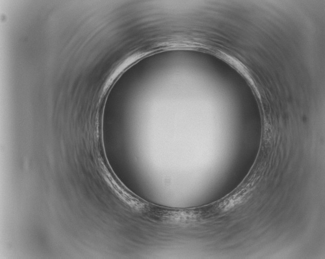 X0000059041195200510171841