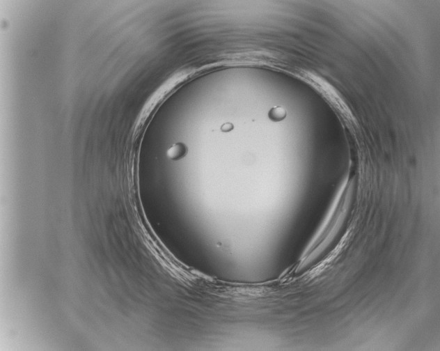 X0000059041196200510171841