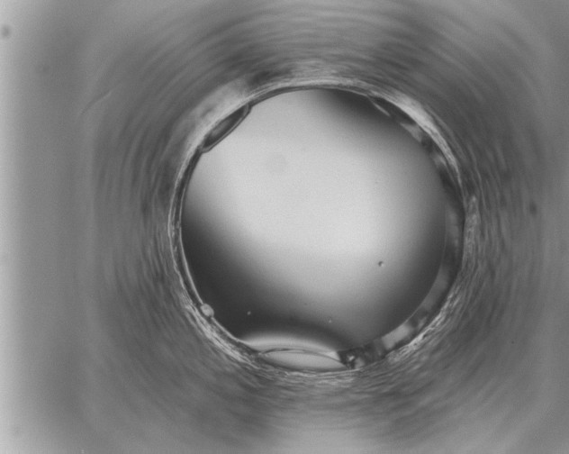 X0000059041197200510171841