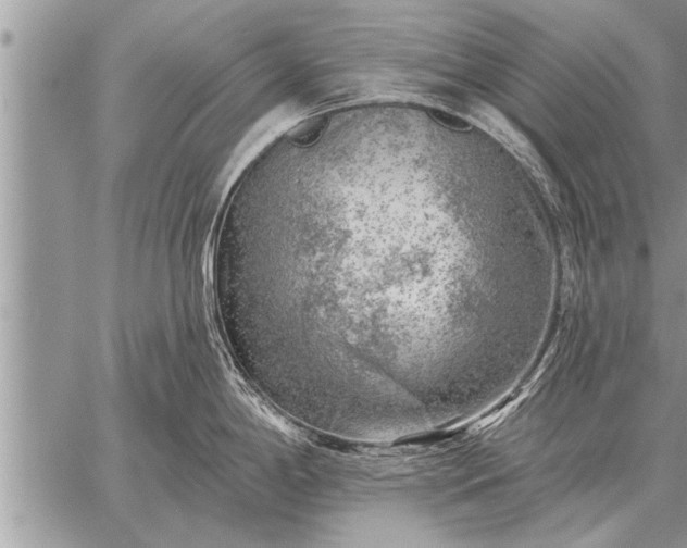 X0000059041198200510171841