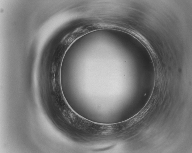 X0000059041199200510171840