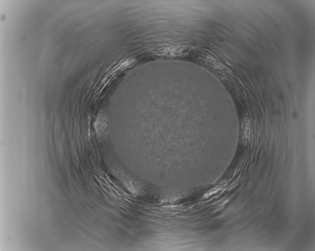 X0000059041202200510171840