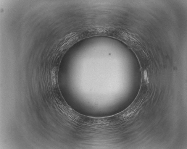 X0000059041203200510171840