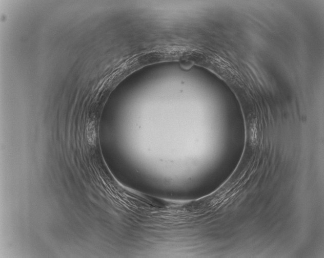 X0000059041204200510171840