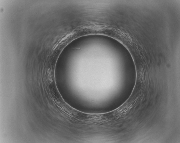 X0000059041205200510171840