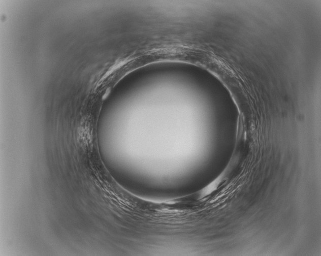 X0000059041206200510171840