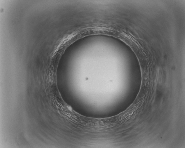 X0000059041207200510171840