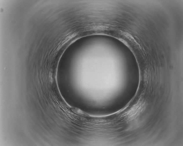 X0000059041209200510171840