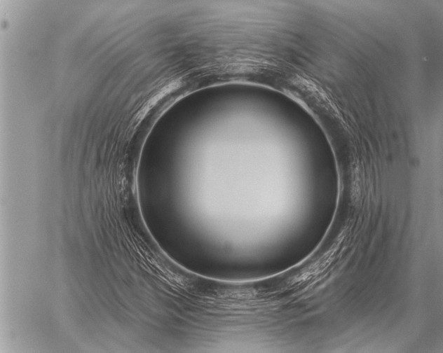 X0000059041210200510171840