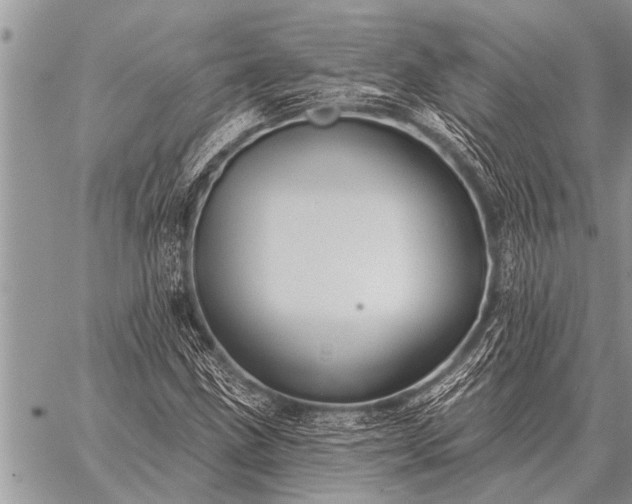 X0000059041211200510171840