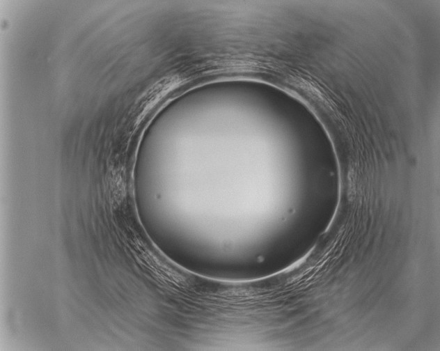 X0000059041212200510171840