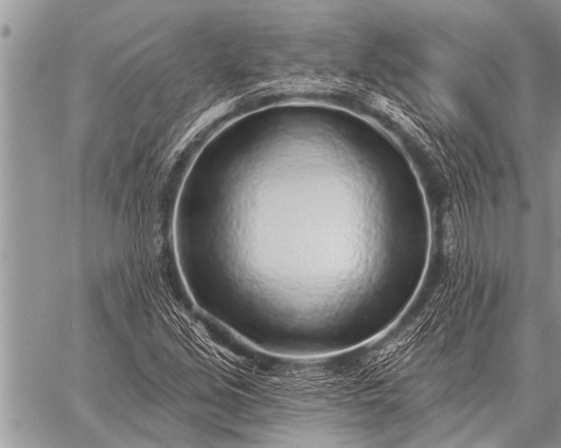 X0000059041213200510171840