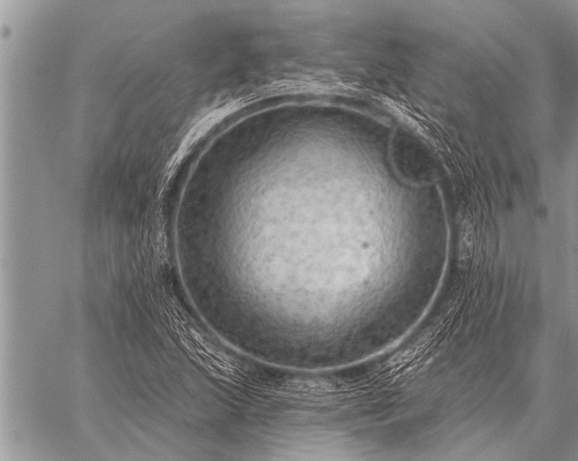 X0000059041215200510171840