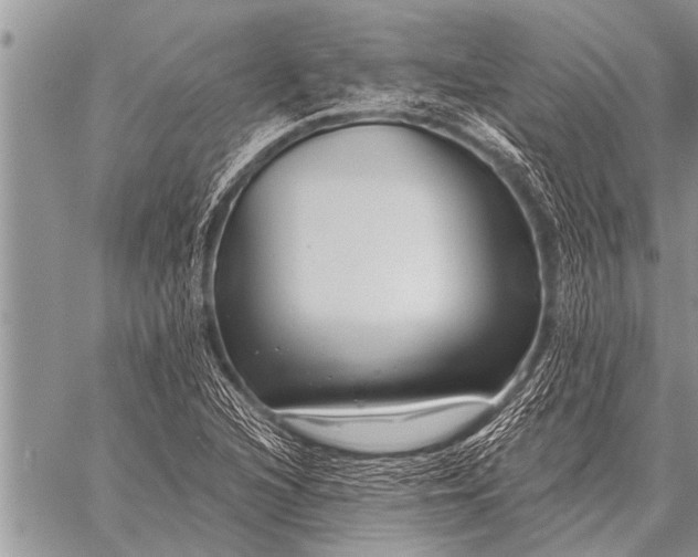 X0000059041216200510171840