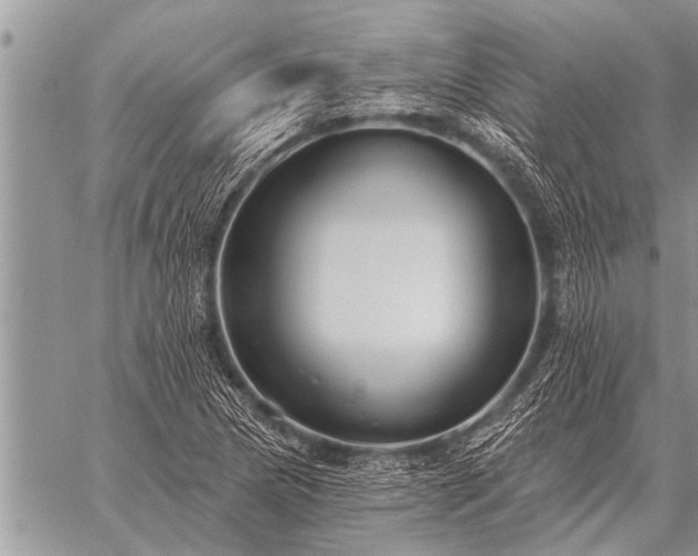 X0000059041217200510171840