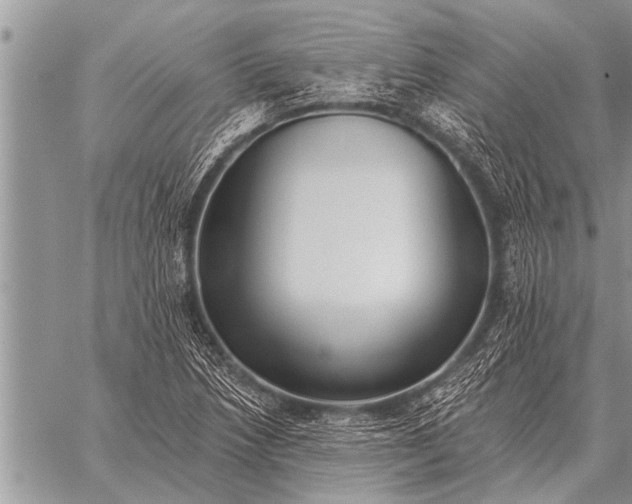 X0000059041218200510171840