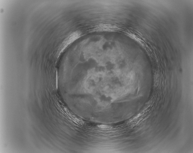 X0000059041219200510171840