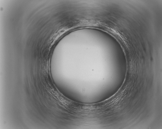 X0000059041220200510171840