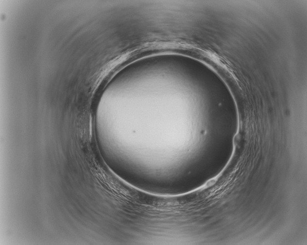 X0000059041221200510171840