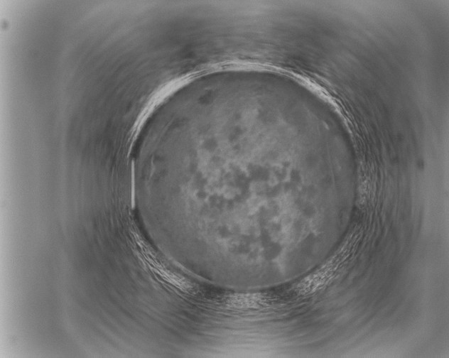 X0000059041223200510171840